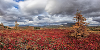 &nbsp; / Панорама