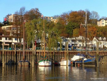 Hamburg. Museumshafen Oevelgönne / Музей под открытым небом (Museumshafen Oevelgönne) 

Читайте в моем блоге о маршруте на пароме :

https://zen.yandex.ru/media/id/5ee66fc9c64be97c15fe75fd/letniaia-progulka-po-elbe-5f1b35cab65d2250ab15c180

Парусники в Гамбурге:

https://www.youtube.com/watch?v=JT5YfxP005o

Видео &quot;Прогулка по Эльбе&quot;: https://www.youtube.com/watch?v=qL1e1j9B8Vk

Лайнеры в Гамбурге:

https://www.youtube.com/watch?v=VU8V0Jvqpy0

https://www.youtube.com/watch?v=_8iY4QcGL-A&amp;t=8s https://www.youtube.com/watch?v=EVMHpH6SJxA

Корабли на Эльбе:

https://www.youtube.com/watch?v=DA7DProSV6o&amp;list=UUEOp3amNaNT0205lPmdFi8w&amp;index=19

Портовый центр и складской район Гамбурга:

https://www.youtube.com/watch?v=i0kxa-sex6o

https://www.youtube.com/channel/UCEOp3amNaNT0205lPmdFi8w/videos?

https://www.youtube.com/watch?v=IGn-NNqkBL0

https://www.youtube.com/watch?v=dZ1W9amrFdg