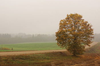 У границы дождя . / Осеннее фланерское фото .