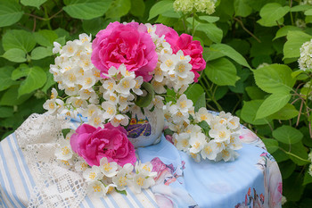 Натюрморт с жасмином и розами / Нежные летние цветы - розы и жасмин в окружении гортензий