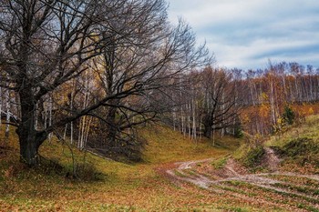 Поздняя осень / окрестности п.Новочуашский,Татарстан