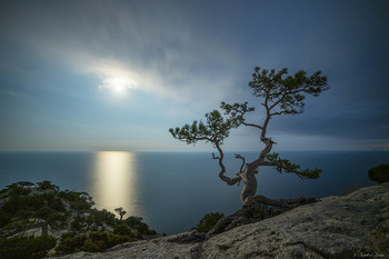 Крым. Новый свет / Крым. Новый свет