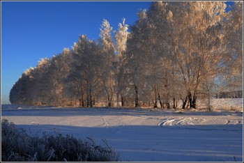 Золотой закат / Средняя полоса России