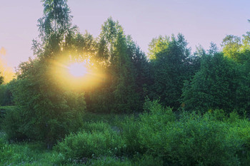 Солнечный взгляд / Летние рассветы