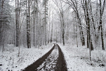 &nbsp; / Зимняя графика