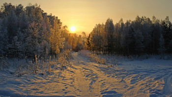 Зимний путь к солнцу. / Согреващий солнчный свет зимнего вечера в лоне дикой природы.