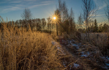 Морозное утро декабря # 2 / Морозное утро декабря # 2