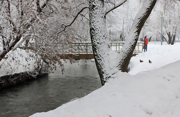 Одиночество февраля / ***