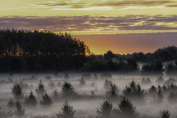 Миколині тумани... / 09.08.2020.