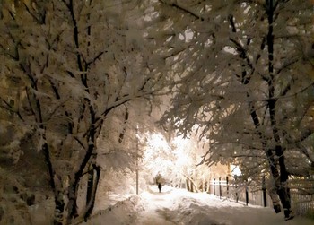 Неспешная прогулка зимой / Мобильная фотография. 
#неспешнаяпрогулка