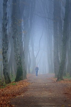 Неспешная прогулка / Или прогулка в тумане воскресным осенним днем :)