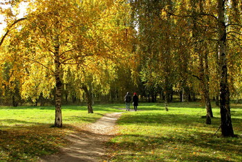 Неспешная прогулка / Прогулка в парке ранней осенью.