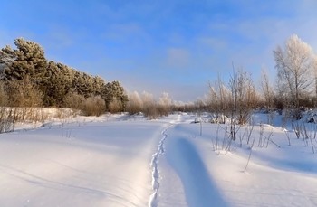 Сибирская зима / Томская область