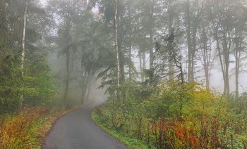 Краски осени туманной / Утренний туман