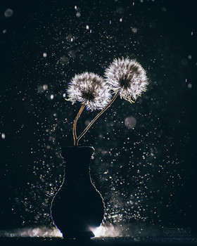 Космос любящих душ / ***