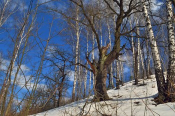 &nbsp; / заказник "Мозырские яры"