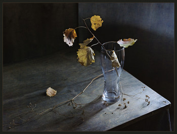 Недавно была осень / Недавно была осень