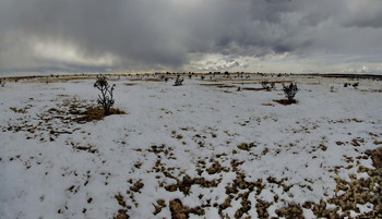 неожиданная пустыня / пустыня Нью Мексико, США