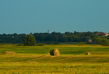 &nbsp; / Рязанская область