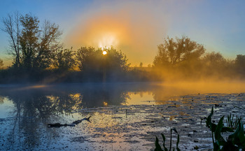 Летний рассвет. / Утренний туман на озере Студёное.