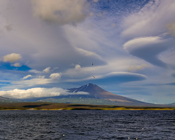 чайки и облака / Лентикулярные облака собираются над вулканом.......Камчатка.