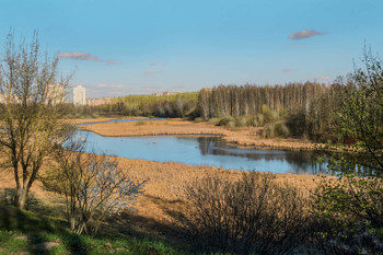 Река в пригороде / Белорусская природа