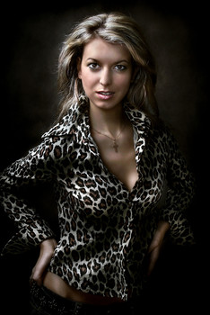 Девушка в леопардовой рубашке... / ***
