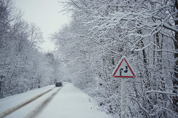 Зимняя дорога. / Декабрьским утром на лесной дороге.
