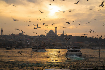 Вечерний Стамбул, бухта Золотой Рог / Вид на одну из крупнейших мечетей Турции Сулеймание с Галатского моста, чайки над бухтой Золотой Рог.