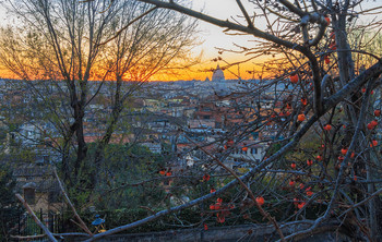 Хурма / Прошло несколько секунд после захода солнца.