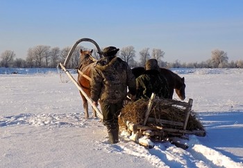 Зима! Крестьянин торжествуя... / Томская область, деревенские мотивы.