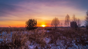 Пылало небо зимними закатами. / ...