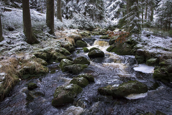 Зимний ручей. / зимний ручей,лес,зима,снег