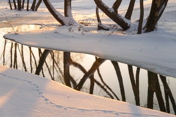 У речки / Люльченка