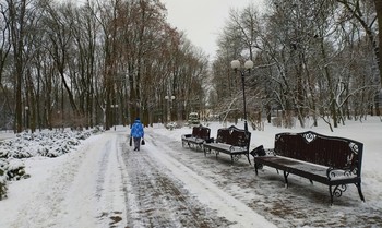 Первый снег / На цыпочках, почти неслышно
к земле подкрался первый снег,