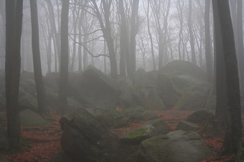  / Natur