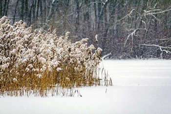 Бездонное озеро / декабрь