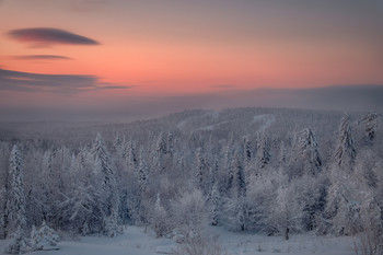 Царство Мороза / В рождественской ночи слышны только обжигающие порывы вьюги и треск промерзших деревьев в заснеженной тайге.