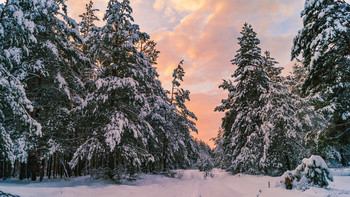 Тихий вечер, закат нежно-розовый. / ...