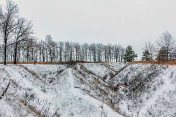 Зимние овраги... / Лощина, овраги зимой. Зимним утром на краю лесного массива. И когда приближается туманное облако, приходит туман.. Пасмурно утром в декабре.. Декабрьским утром у лощины, ближний план. Немного снега зимой. Запорошело.. Край лесополосы. И пасмурное небо вдали. Зимний пейзаж. Утром у поля, у лощины.. Треугольники лощины..