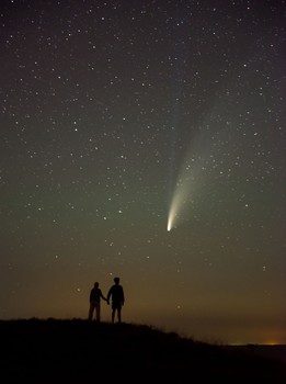 На берегу звездного океана / Наблюдая комету NeoWise