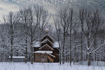 &nbsp; / Хочу поздравить вас,друзья ,с наступающим Новым Годом!
Старый послать бы куда подальше ,с его болезнями,потерями,расставаниями...Но были и в нем минуты счастья и радости, пусть с нами они останутся. 
А в новом 2021 откроют границы, не будут бегать за нами со шприцами,чтобы сделать прививку, чтобы появились хорошие темы для разговоров,чтобы вернулись или пришли новые талантливые ребята на сайт..
Пусть хоть маленькая толика того,чего ожидаете , сбудется