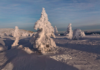 PF-2021 / Облепленные снегом ели на вершине горы