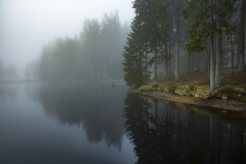Тишина. / озеро,туман,тишина,осень