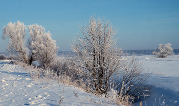 Зима. / Снег на полях и иней на деревьях.
