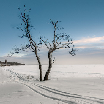 &nbsp; / Зима, Комарово,Финский залив