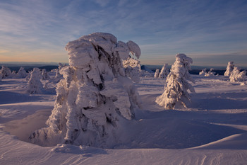 Стражники снежного царства / окутанные снегом пихты на вершине горы