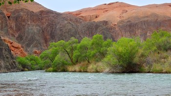 Прохладой манит в летний зной... / С вершин, что спят за облаками,
От ледников, по склонам гор,
Бежит река между камнями,
Стремится к морю на простор.
Ущелье узкое - ей тесно
И, полноводна, глубока,
Меняя русло, ищет место
Для быстрых вод своих река.
/Любчинова-Чуенкова/