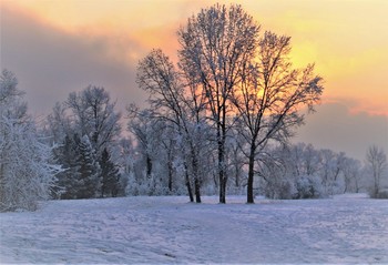 Закат в зимнем лесу / Заснеженный лес,закат