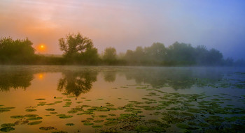 Солнце восходит. / Летний туман на рассвете. Озеро Студёное. Мещера, юго-восток Московской области.